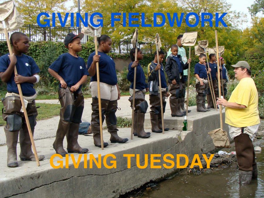 Giving+Fieldwork+on+Giving+Tuesday