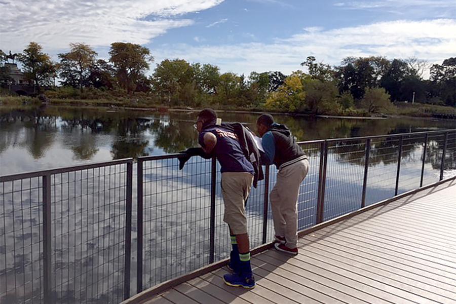PCA 7th Grade Crew Collaborates with Lincoln Park Zoo