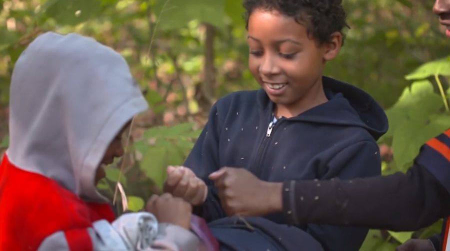 5/6 crews partner with Shedd Aquarium