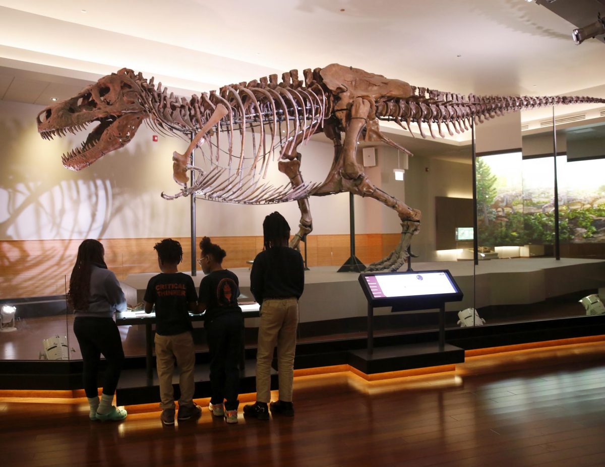 Learning Beyond the Classroom